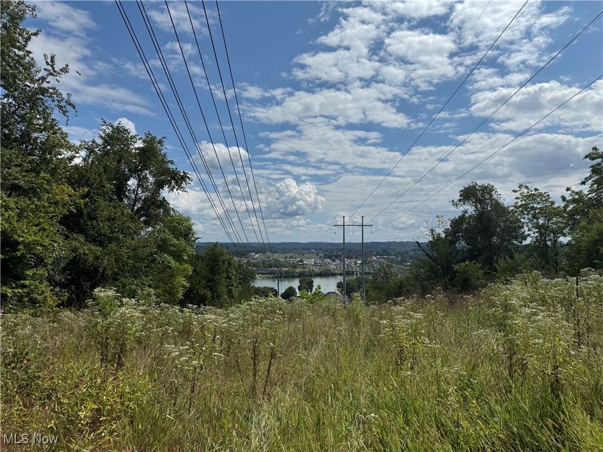 Presenting 15.32 acres of land offering an exceptional opportunity in Washington County, Ohio. With its generous size, this property provides ample space for a variety of uses whether it’s residential or agricultural. The acreage sits conveniently in Belpre, and overlooks the Ohio River. This 15.32-acre parcel is a remarkable opportunity to establish roots or invest in the growing demand for land ownership.