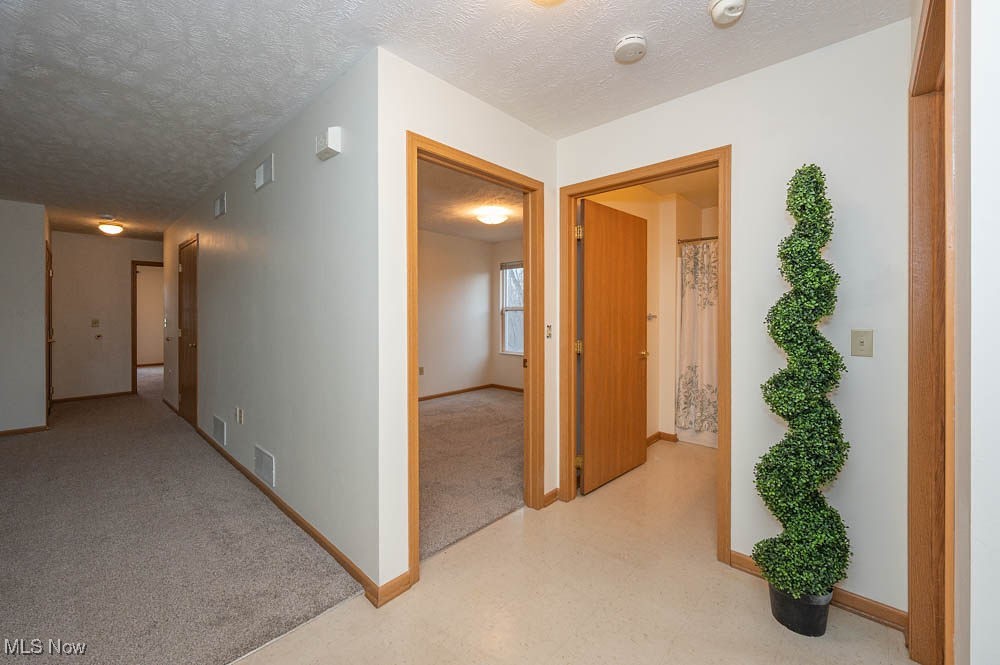 1305 Elmside Street, Alliance, Ohio image 11