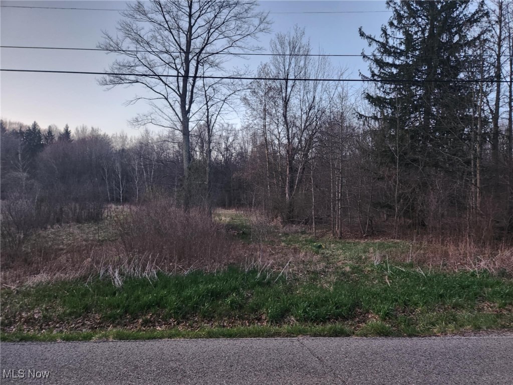 6498 Mcguffey Road, Lowellville, Ohio image 1
