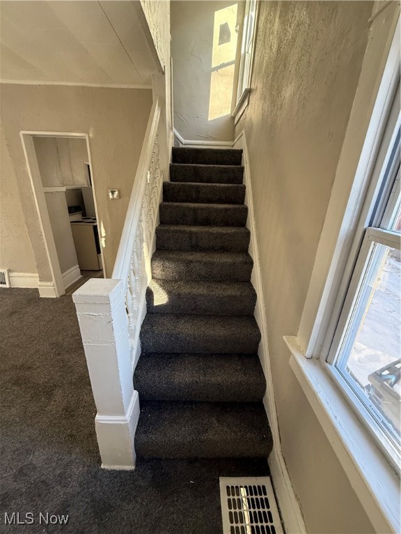 Storer - Residential Lease