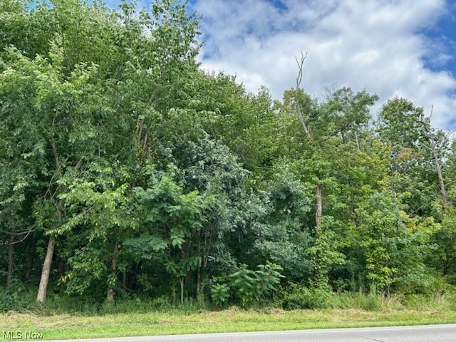 Nice building lot with 450 feet of frontage on Old State Road, just east of Reeves Road on the north side. Mature trees and a small creek offer lots of possibilities. Great location close to town and easy access to OH 528 and US 422. Park on the south side of the road in the old oil well access drive directly across from the Real Estate listing sign. Do not park in neighbors' driveways.