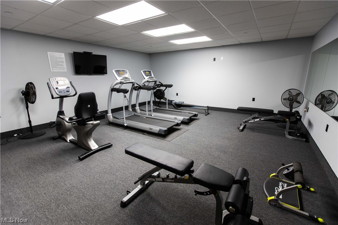 Lake Erie Vista Condo - Residential