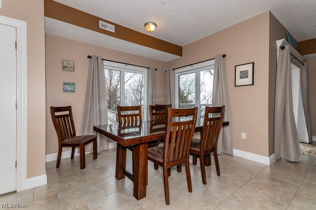 Lake Erie Vista Condo - Residential