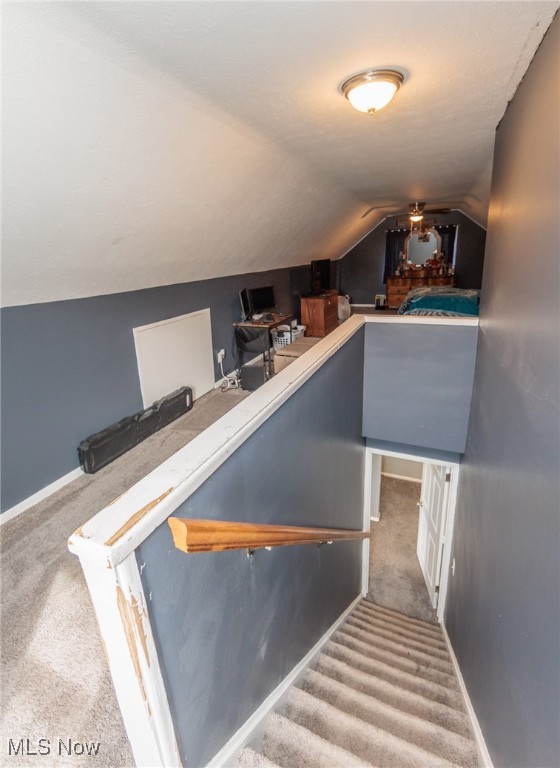 3443 Dentzler Road, Parma, Ohio image 32