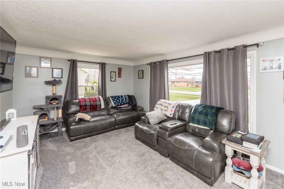 3443 Dentzler Road, Parma, Ohio image 9