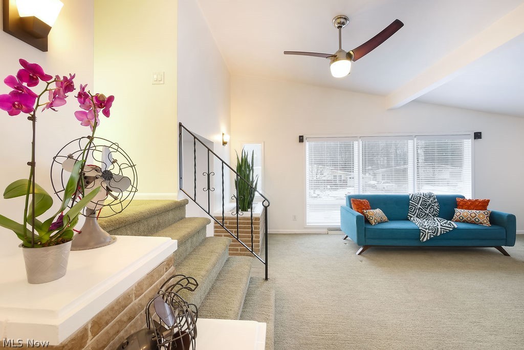 Munroe Manor Estates Allotment - Residential