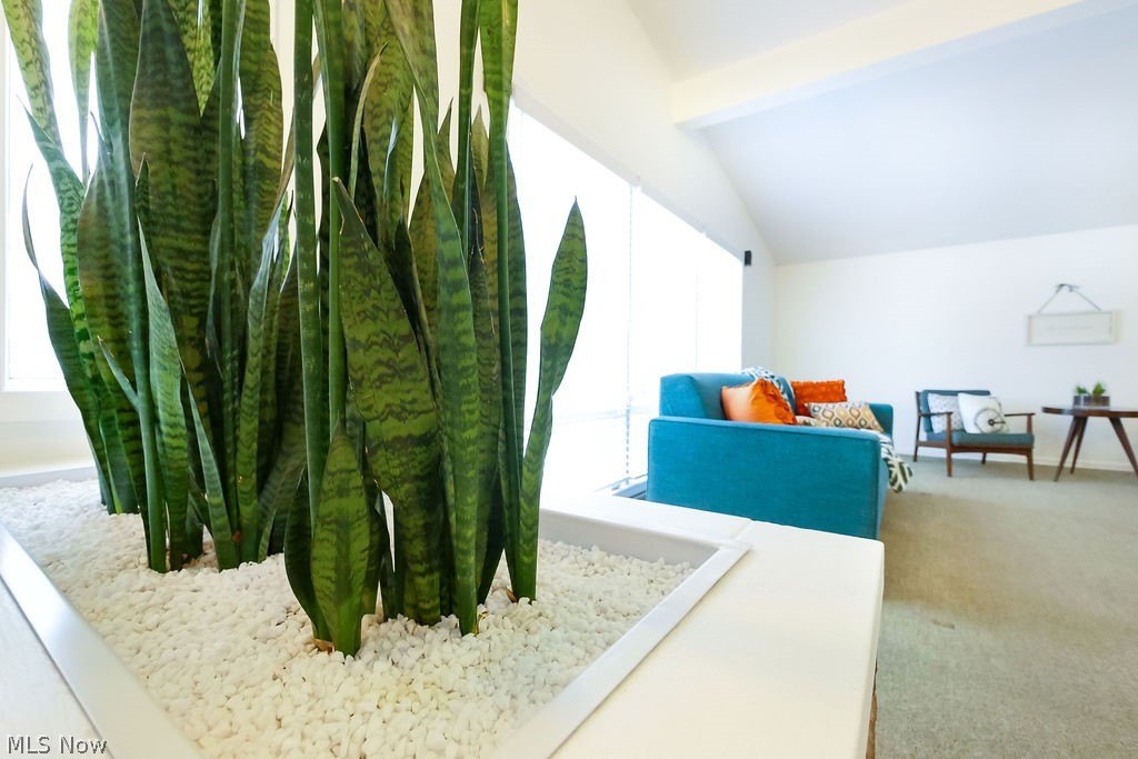 Munroe Manor Estates Allotment - Residential