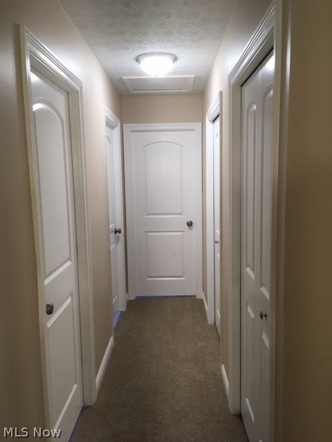 Big Turtle 02 Ph 11-16 - Residential