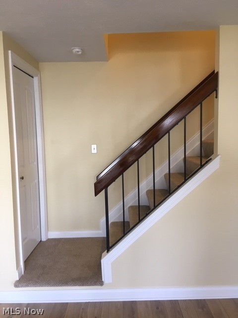 Big Turtle 02 Ph 11-16 - Residential