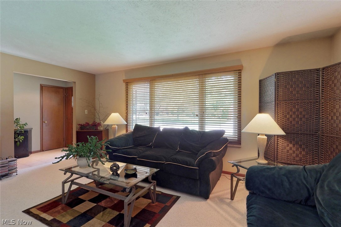 Sassafras Hills 01 - Residential