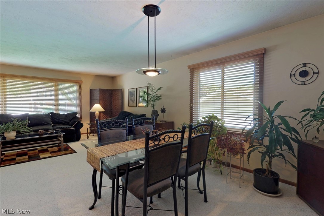 Sassafras Hills 01 - Residential