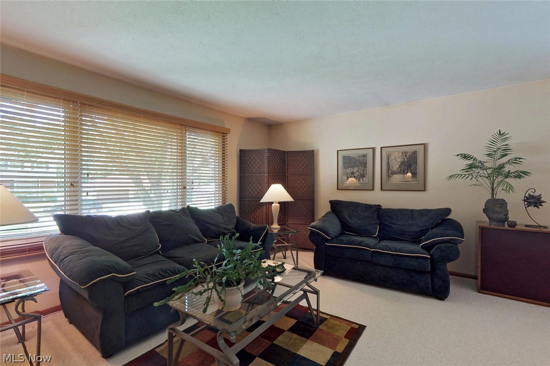 Sassafras Hills 01 - Residential