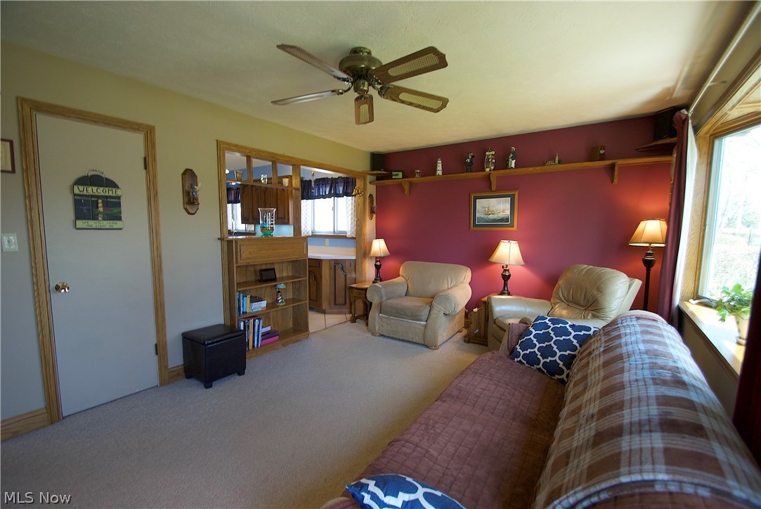 Willow Buff Farm 01 - Residential