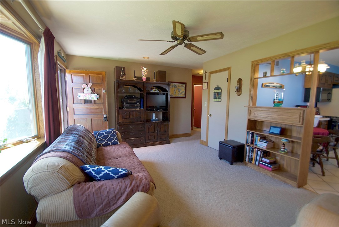 Willow Buff Farm 01 - Residential