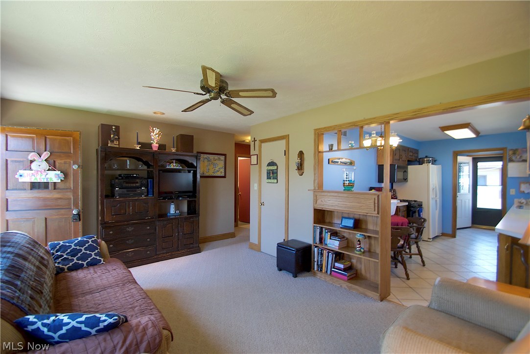 Willow Buff Farm 01 - Residential