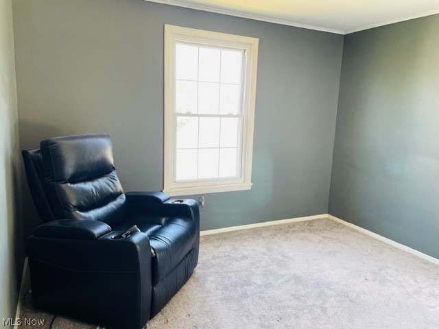 Village Green Condo - Residential