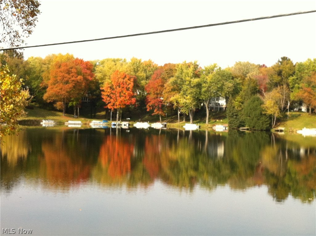 Willowdale Lake - Residential
