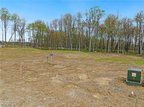 Tiny photo for 9527 River Birch Run, Brecksville, OH 44141 (MLS # 5207692)