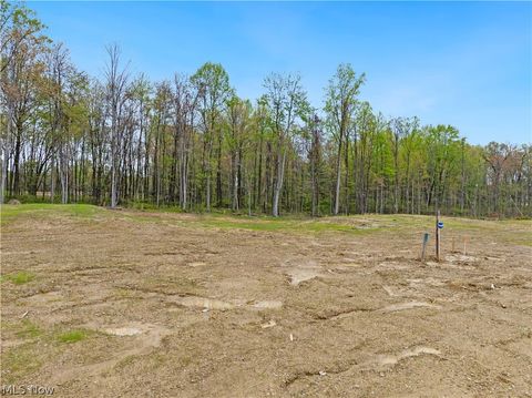 Photo of 9527 River Birch Run, Brecksville, OH 44141 (MLS # 5207692)