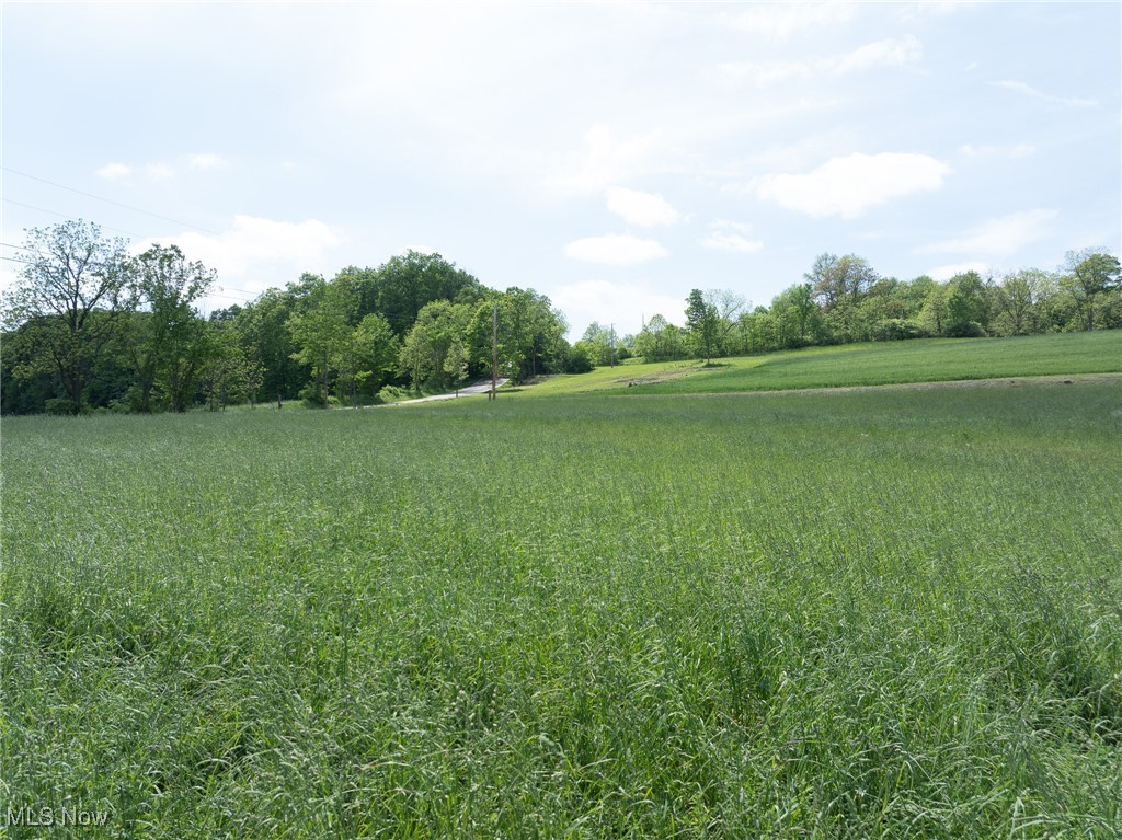 County Road 160, Millersburg, Ohio image 25
