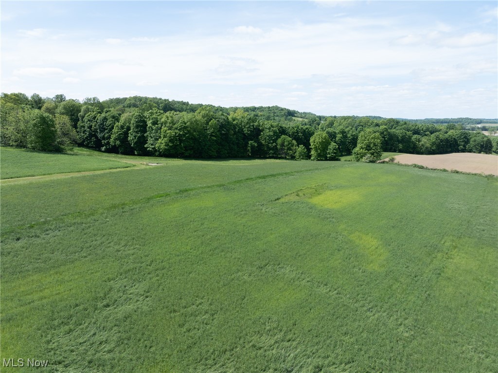 County Road 160, Millersburg, Ohio image 30
