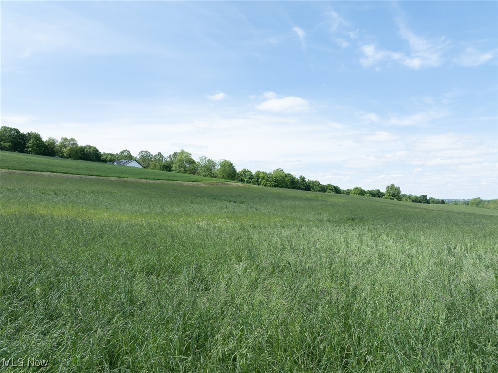 County Road 160, Millersburg, Ohio image 24