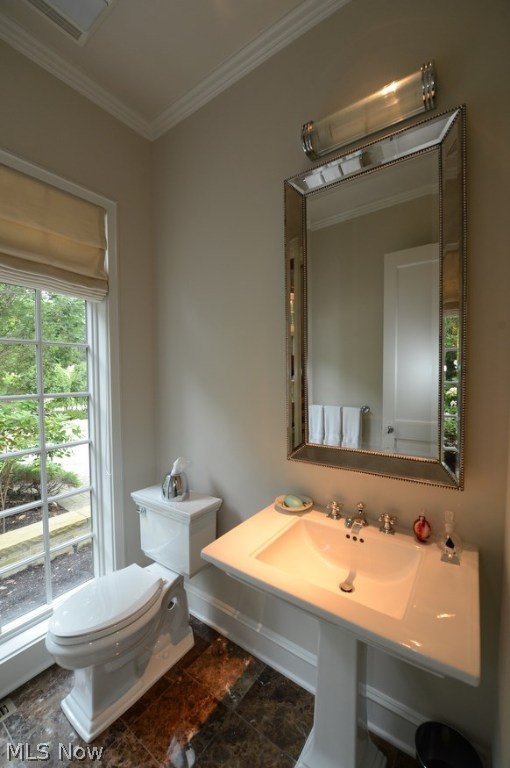 Meadow Vista Allotment - Residential