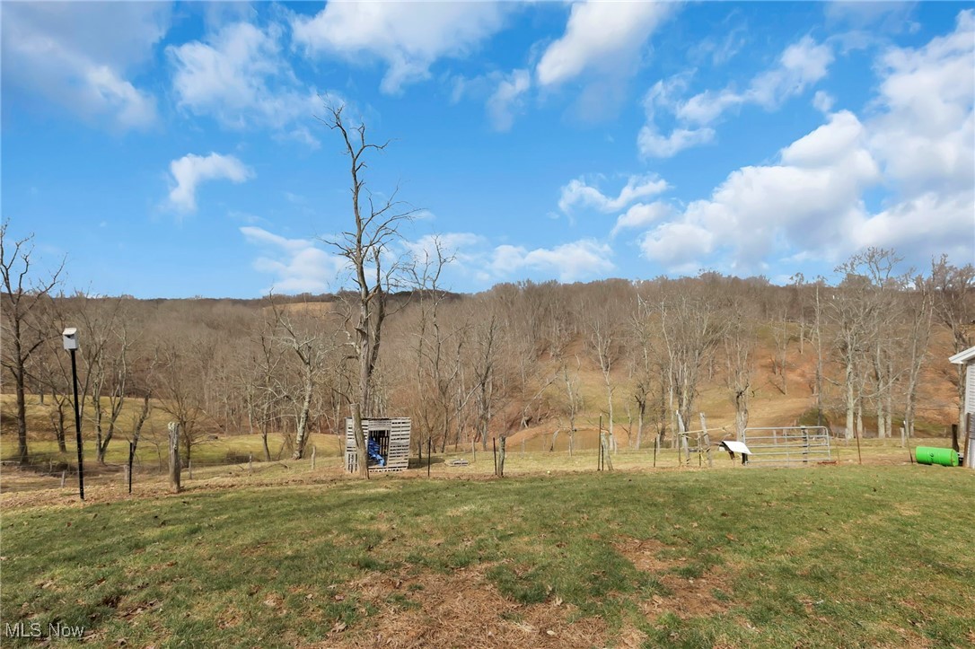 45725 Skyline Road, Woodsfield, Ohio image 41