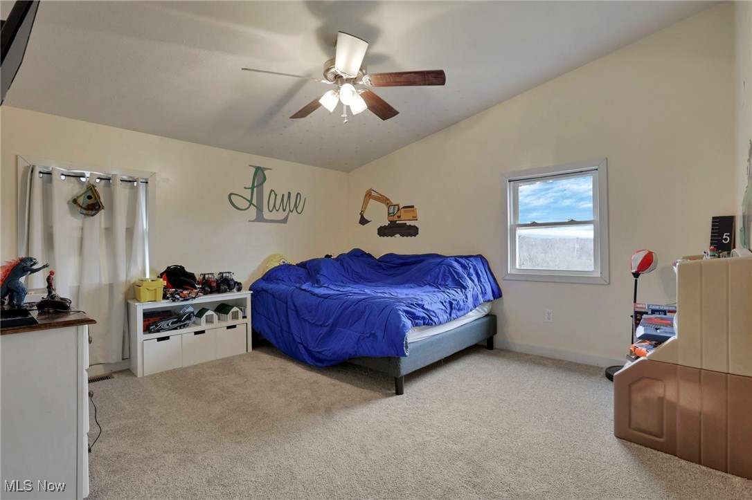 45725 Skyline Road, Woodsfield, Ohio image 28