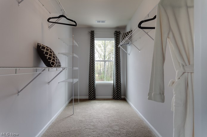 The Preserve at Salt Creek - Residential