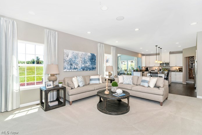 The Preserve at Salt Creek - Residential