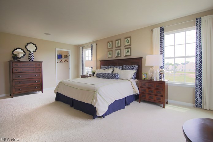 The Preserve at Salt Creek - Residential