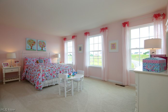 The Preserve at Salt Creek - Residential