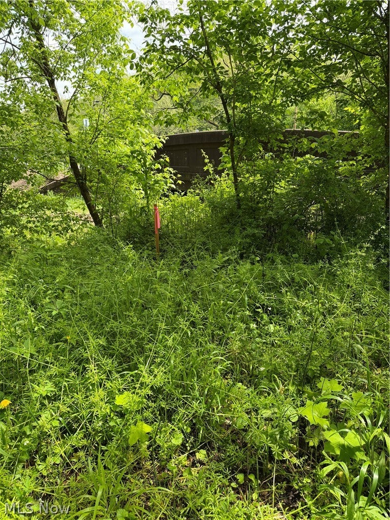 Harrietsville SR 145 Road