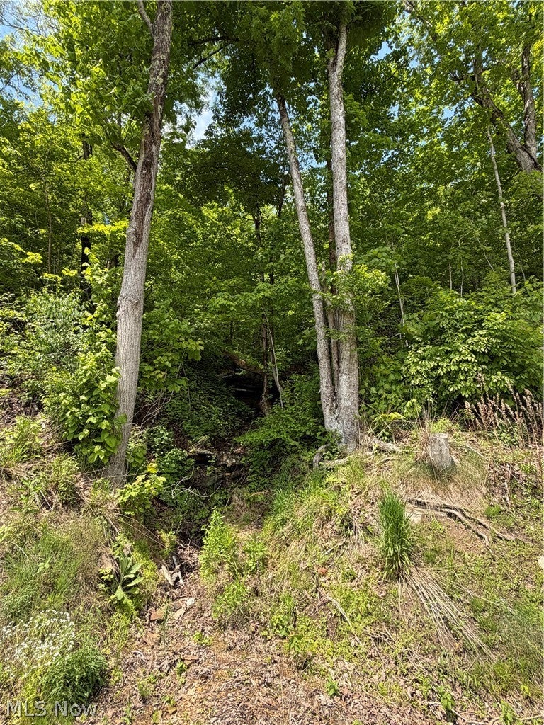 Harrietsville SR 145 Road