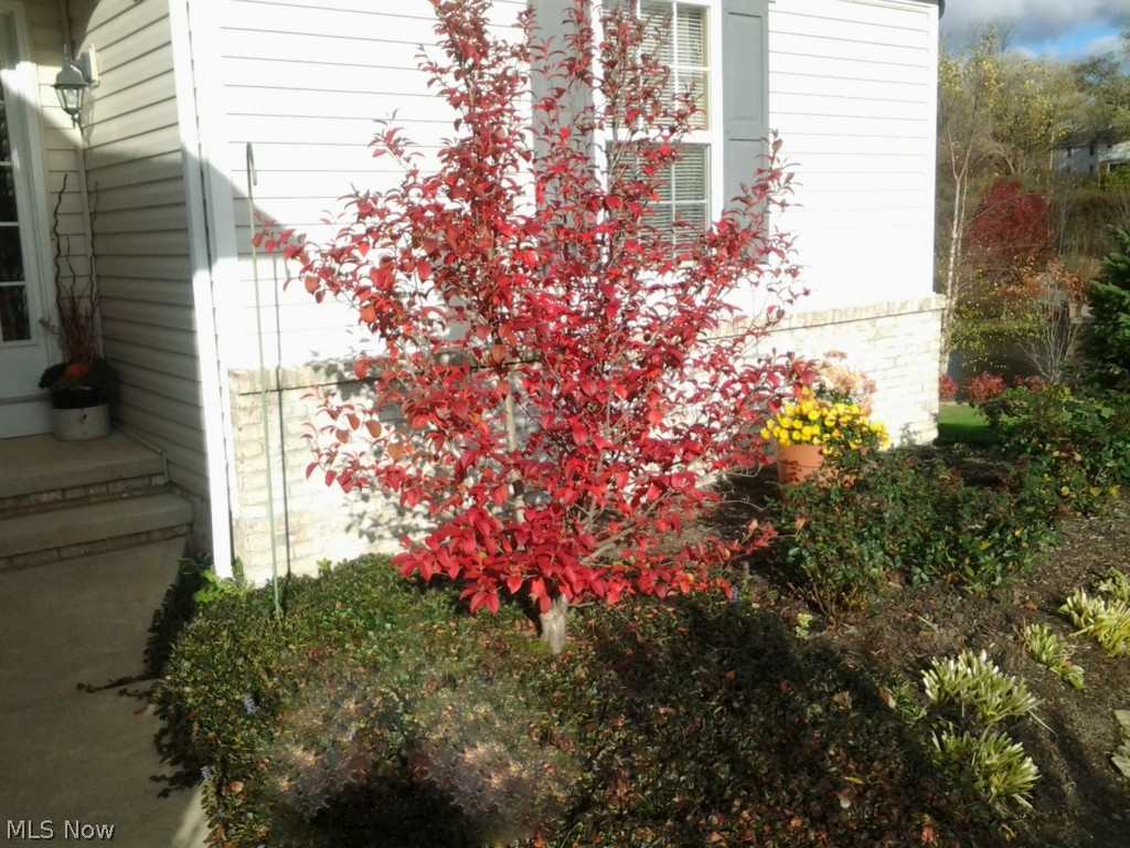 Fox Pointe - Residential