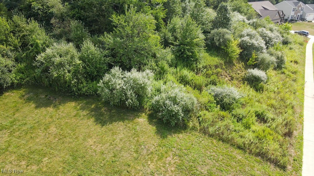 Lakes/Green #2 - Land