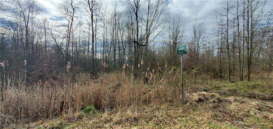 There are so many possibilities for this beautiful wooded property.  One of three available lots for sale, all in differing sizes.