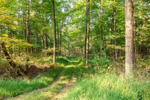 Vacant Land For Sale - 10772 Lawndell Road #5<br/> Navarre, OH 44662