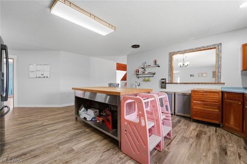 Tiny photo for 3913 Ninevah Road, Ashtabula, OH 44004 (MLS # 5189898)