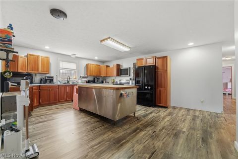 Tiny photo for 3913 Ninevah Road, Ashtabula, OH 44004 (MLS # 5189898)