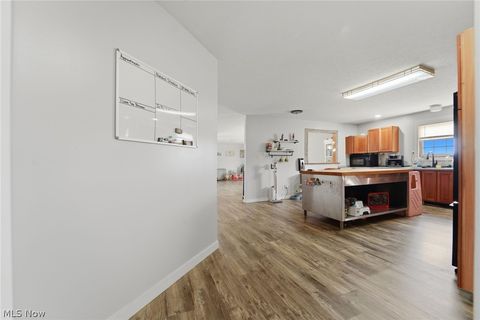 Tiny photo for 3913 Ninevah Road, Ashtabula, OH 44004 (MLS # 5189898)