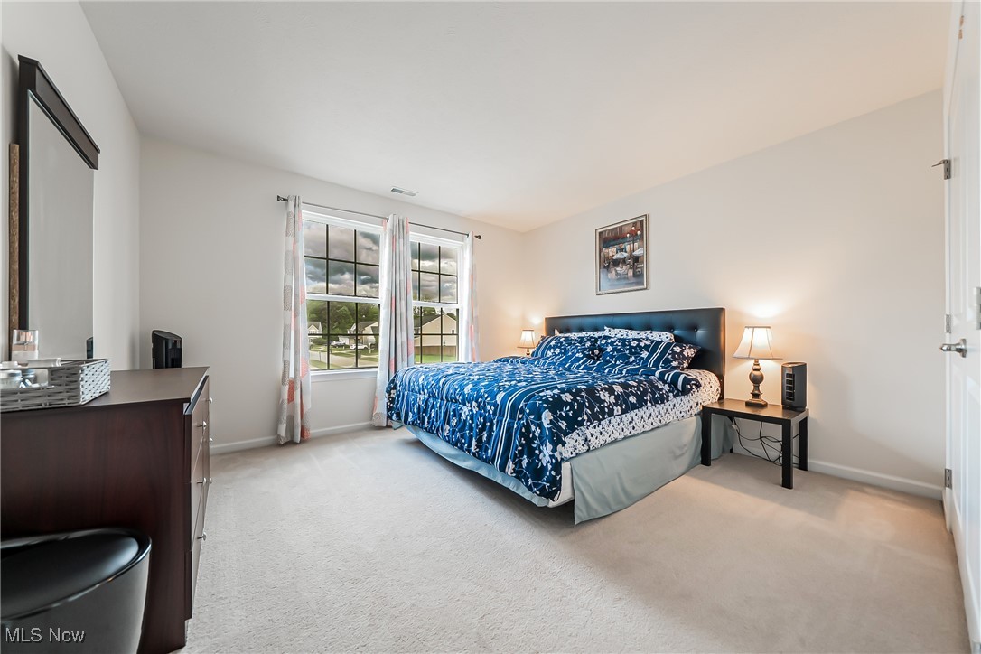 10116 Flagstone Drive, Twinsburg, Ohio image 21