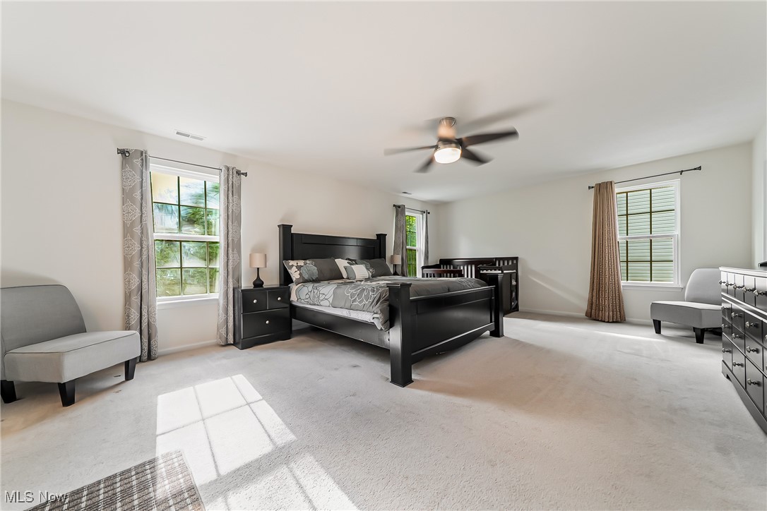 10116 Flagstone Drive, Twinsburg, Ohio image 15