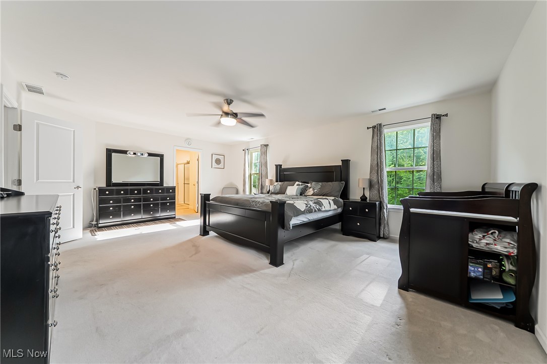 10116 Flagstone Drive, Twinsburg, Ohio image 13