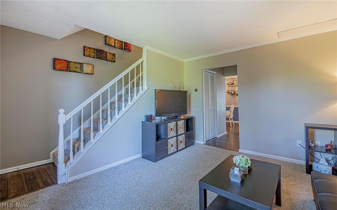 Country Meadows - Residential