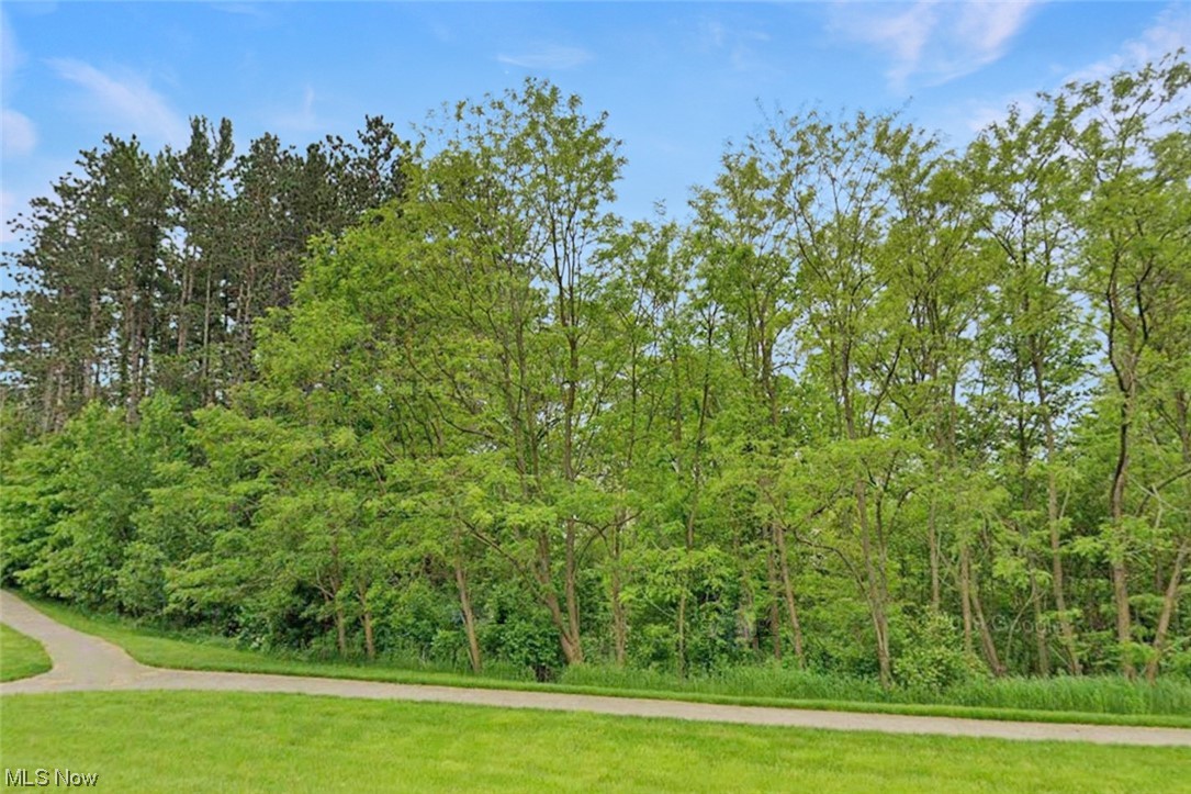 Creekside/Pleasant Lakes Condo - Residential