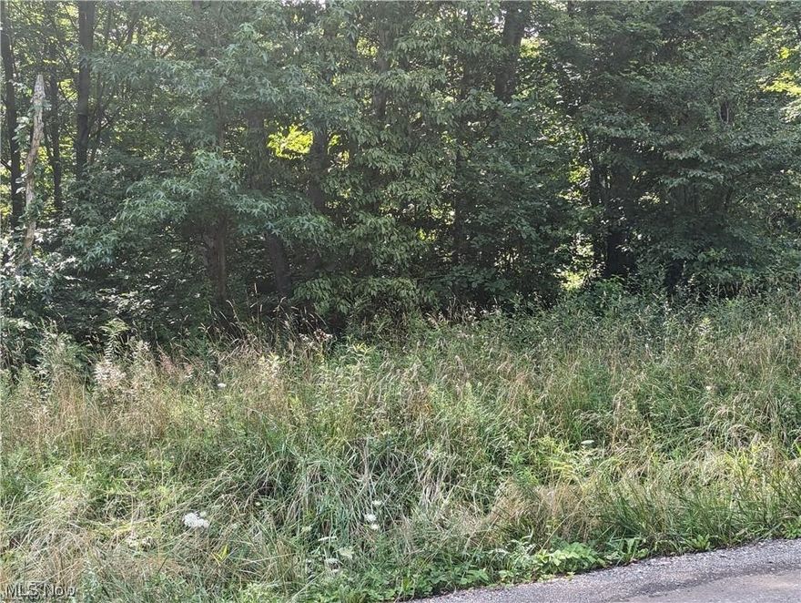 8.5 acres in a great location available. Don't wait, call now.