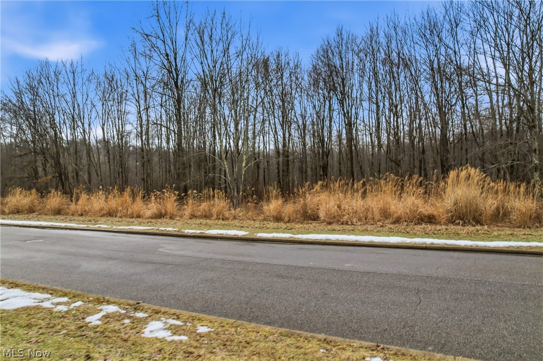 Lakeview Drive
