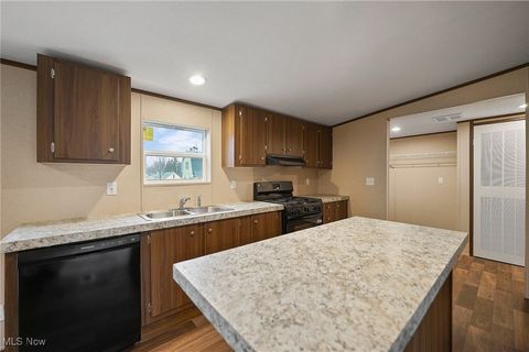 Tiny photo for 541 Lincoln Avenue, Struthers, OH 44471 (MLS # 5178786)